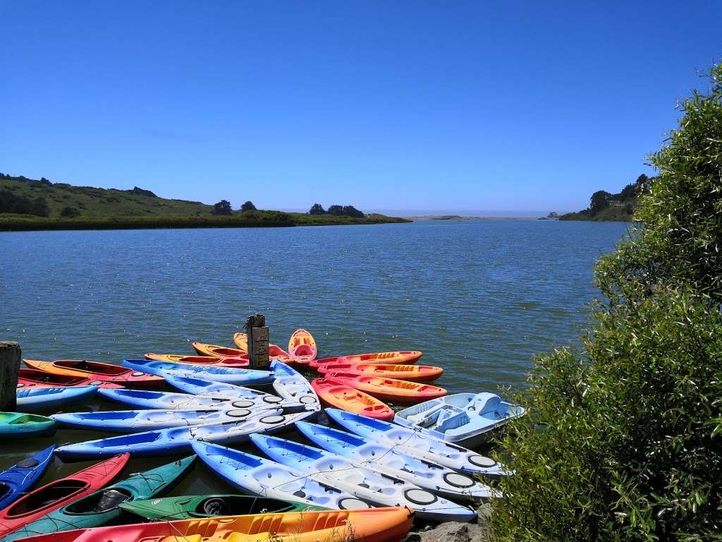 WaterTreks EcoTours And Kayak Rentals | Highway 1, PO Box 39, Boat Launch Beach Area, Jenner, CA 95450, USA | Phone: (888) 865-2249