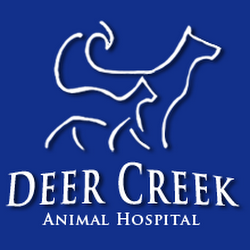 Deer Creek Animal Hospital | 6788 W 135th St, Overland Park, KS 66223, USA | Phone: (913) 851-3700