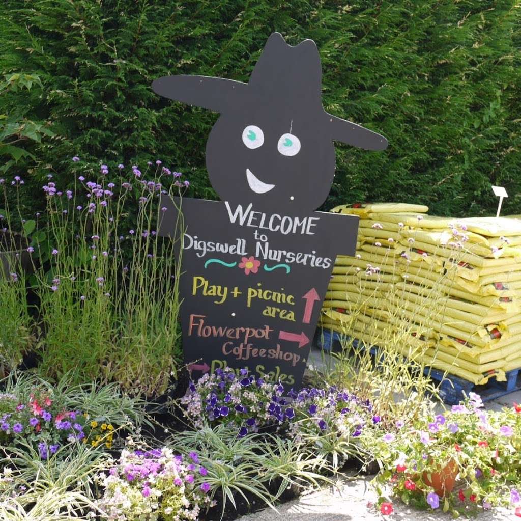 Digswell Nurseries | Digswell Community Gardening Project, Great North Road, Welwyn Garden City AL8 7SR, UK | Phone: 01707 334076