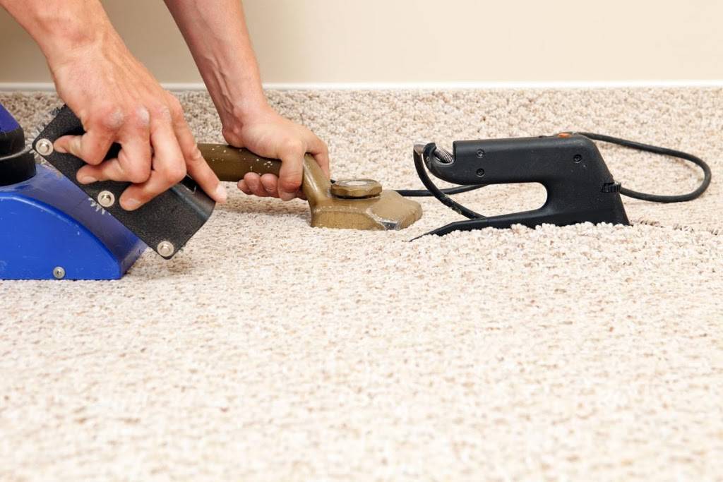 CALL TODAY Carpet Rug Cleaning LLC | 1257 1258 11th Ave # 2, San Francisco, CA 94122 | Phone: (310) 818-7220