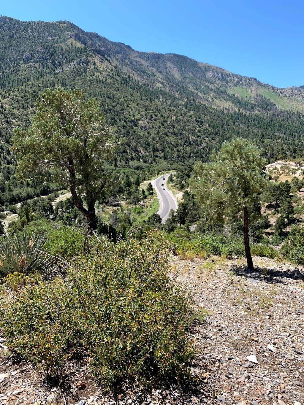 Acastus Trail | Acastus Trail, Mt Charleston, NV 89124, USA