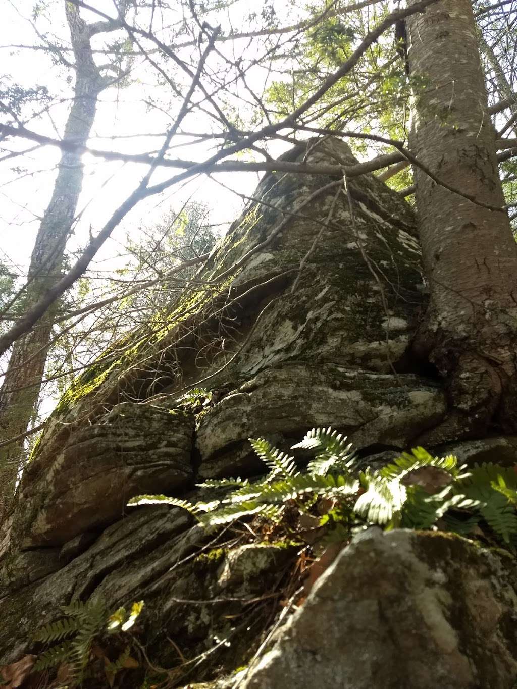 Tusten Mountain Trail | Narrowsburg, NY 12764, USA