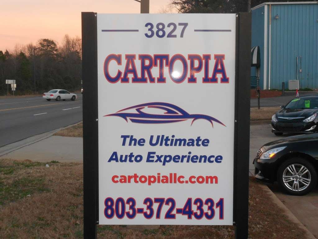 Cartopia LLC | 3827 Celanese Rd, Rock Hill, SC 29732, USA | Phone: (803) 372-4331