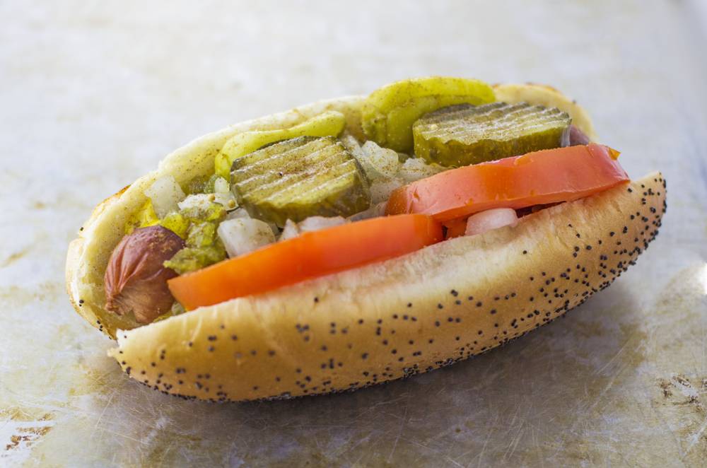 Mugsy Dogs | 3160 E Queen Creek Rd #101, Gilbert, AZ 85297, USA | Phone: (480) 719-6088
