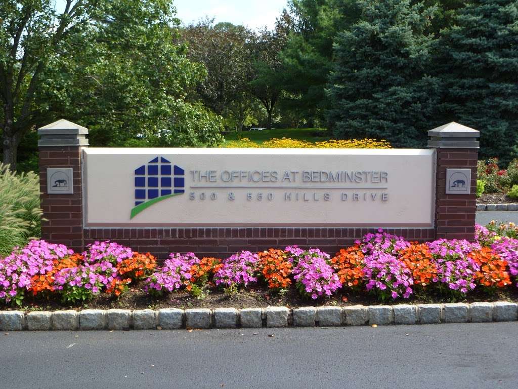 The Offices at Bedminster | 500 &, 550 Hills Dr, Bedminster Township, NJ 07921, USA | Phone: (908) 781-2733