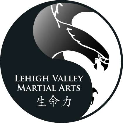 Lehigh Valley Martial Arts: Breinigsville | 9999 Hamilton Blvd, Breinigsville, PA 18031, USA | Phone: (484) 397-4095