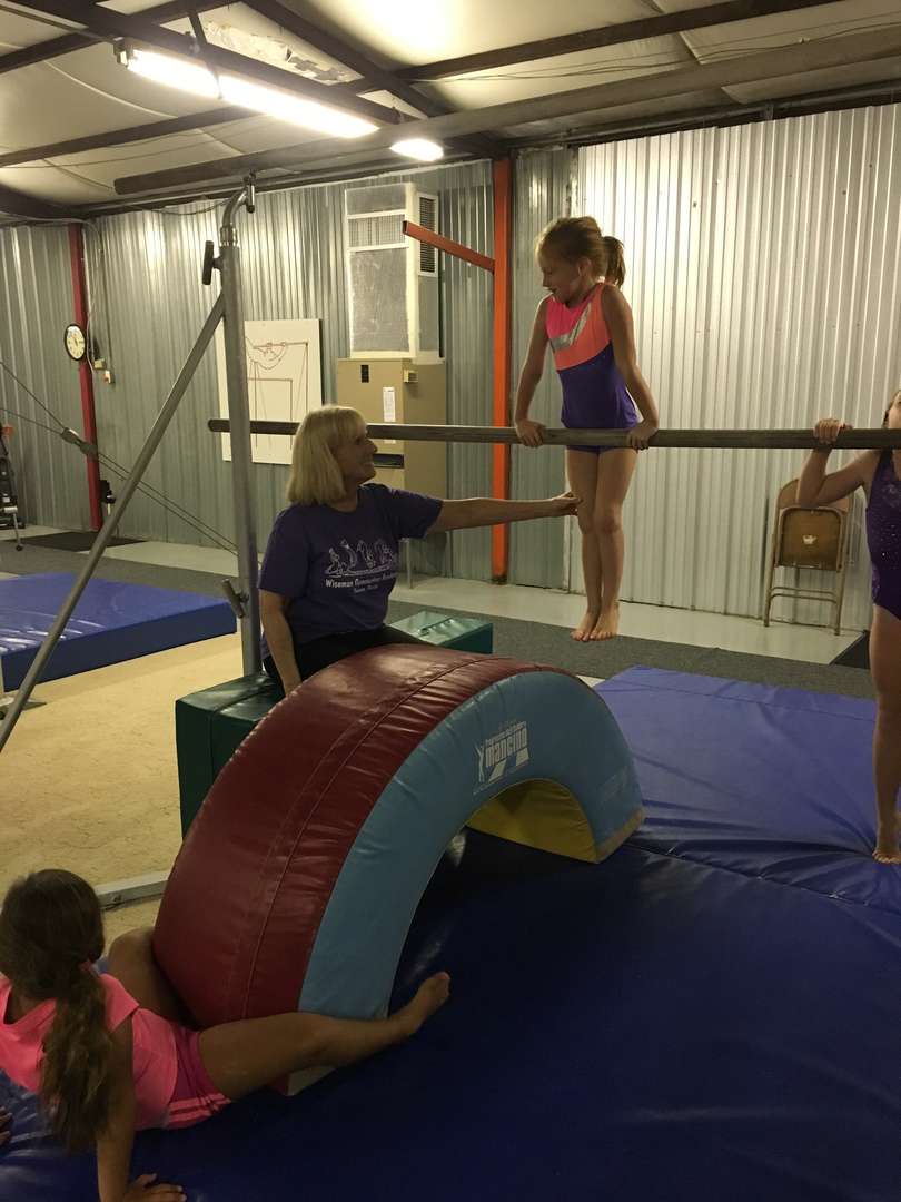 Wiseman Gymnastics Academy | 15617 Old US Hwy 441, Tavares, FL 32778, USA | Phone: (352) 343-1961