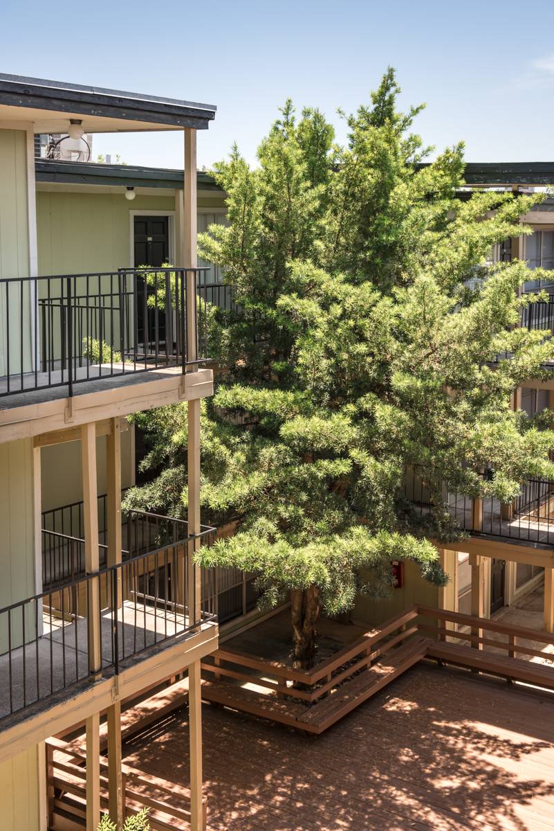 Oak Park Apartments | 4505 Duval St, Austin, TX 78751, USA | Phone: (512) 467-1478