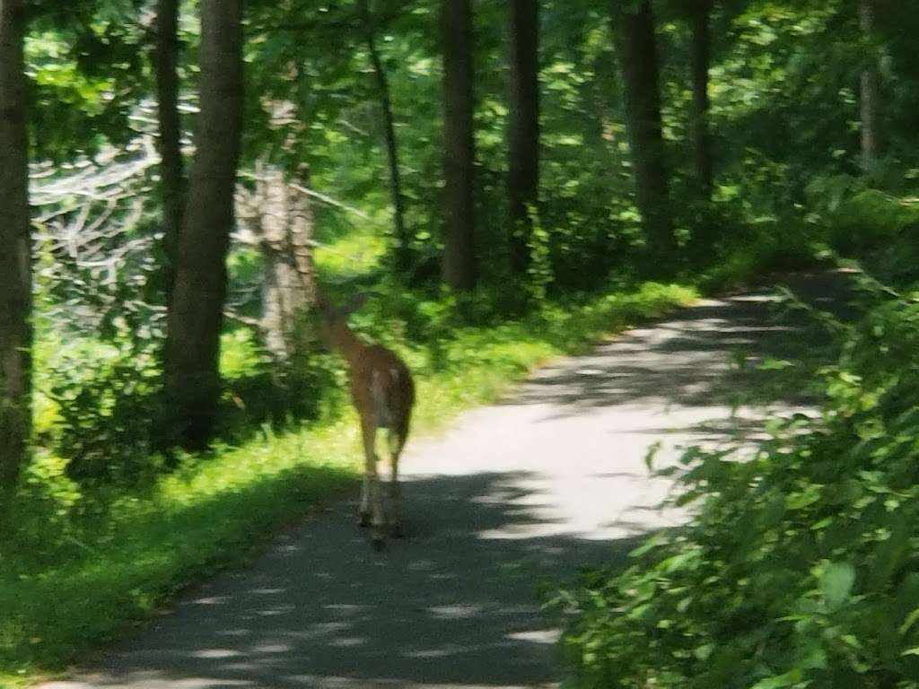 Crystal Rock Trail | Crystal Rock Trail, Germantown, MD 20874