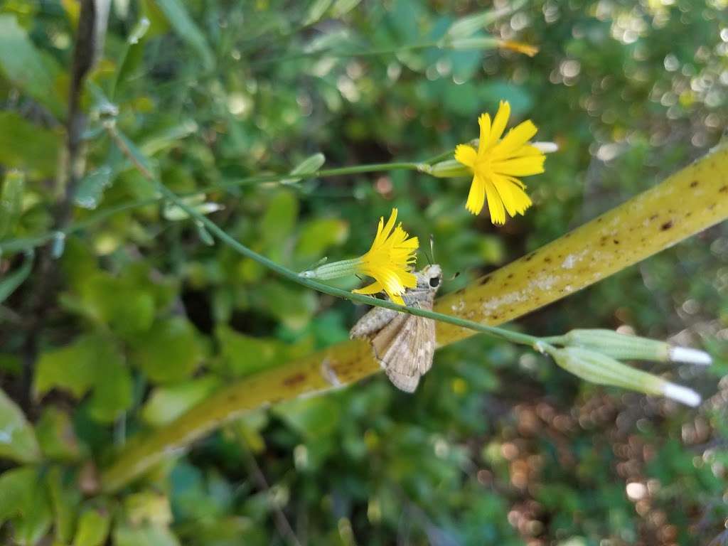 Ballanger Creek Habitat Enhancement Site | 5962 U.S. 9, Tuckerton, NJ 08087