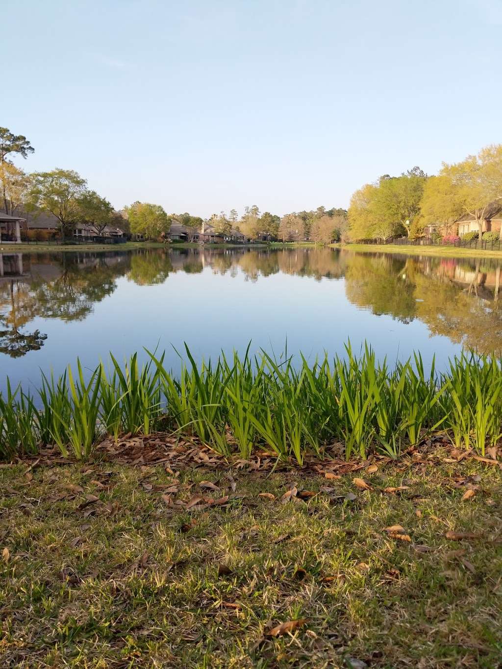 Cokeberry Pond Park | 1829 Nursery Rd, The Woodlands, TX 77380, USA