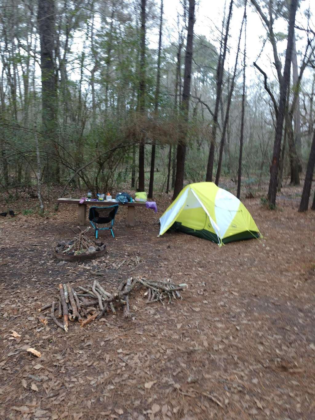 Pole Creek Campsite | Montgomery, TX 77356, USA