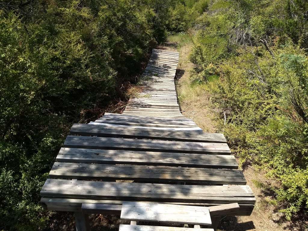 Big Cedar Wilderness DORBA Trail | 8991-8999 Isom Ln, Dallas, TX 75249, USA