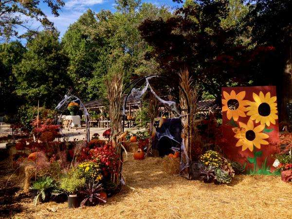 Silverbrook Nursery & Landscaping | 8408 Monacan Rd, Lorton, VA 22079 | Phone: (703) 690-1231