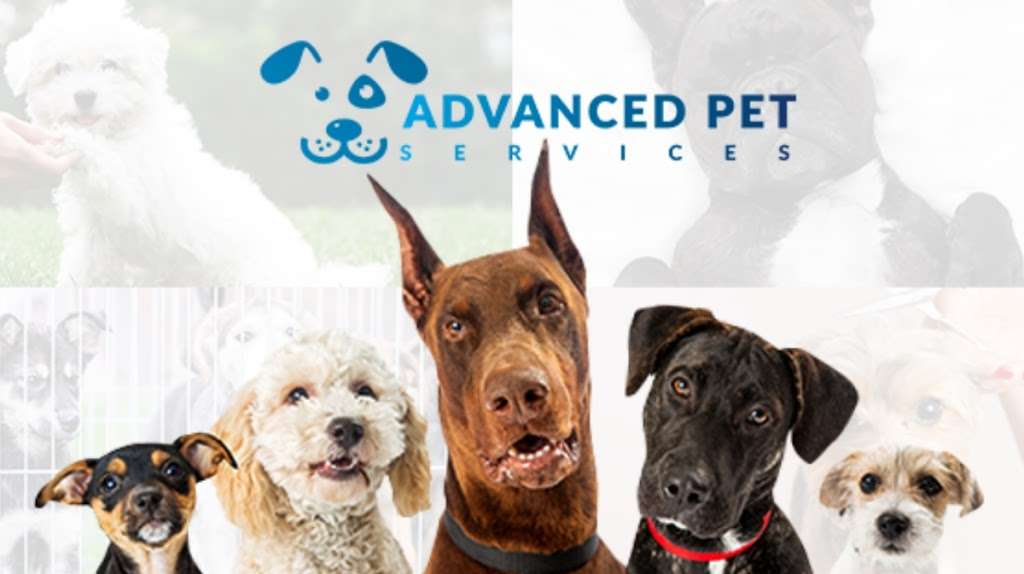 Advanced Pet Services | 23001 W Rd, Sheridan, IN 46069, USA | Phone: (317) 900-9769