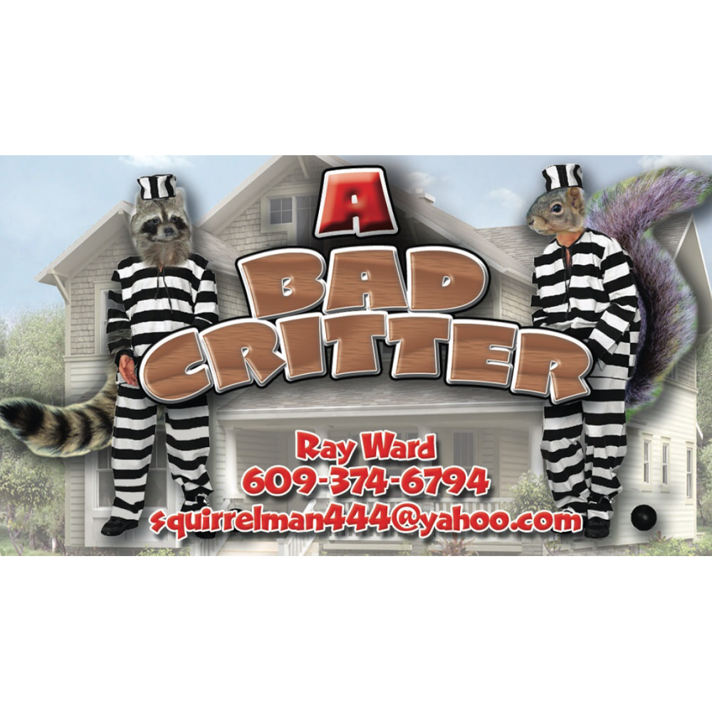 A Bad Critter Raccoon & Squirrel Removal | 2324 Atco Ave, Atco, NJ 08004, USA | Phone: (609) 374-6794