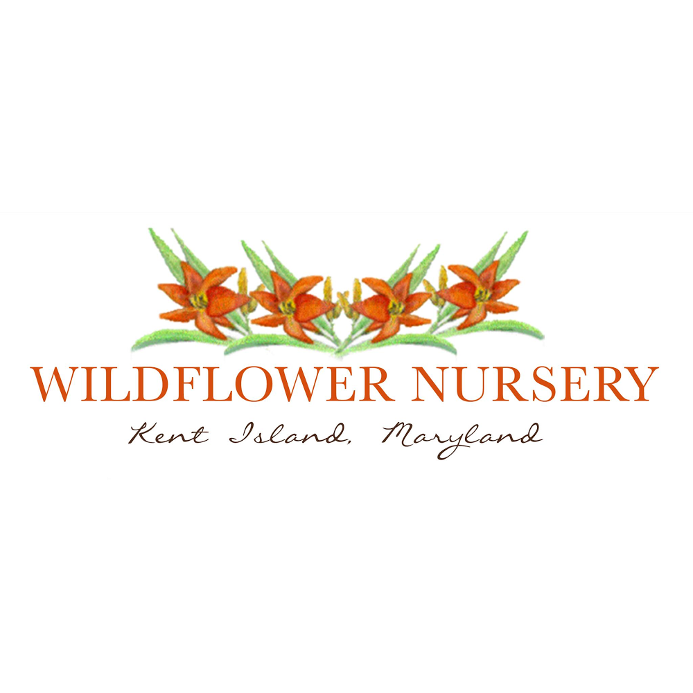 Wildflower Nursery | 915 Romancoke Rd, Stevensville, MD 21666 | Phone: (410) 604-2121