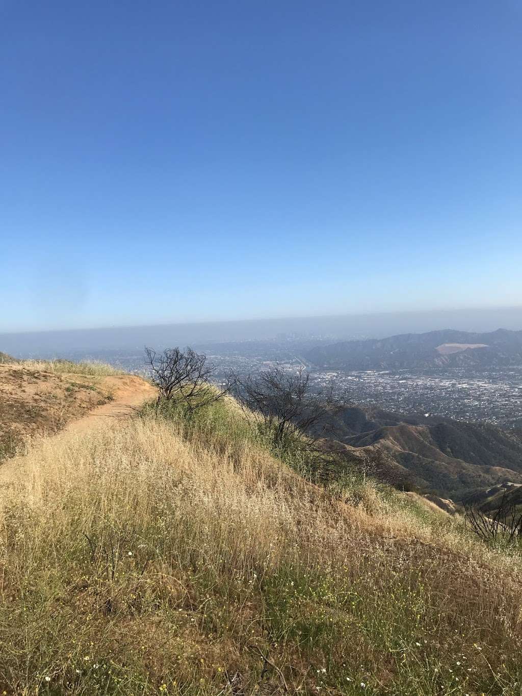 Willie Mann Memorial Chair | Wildwood Peak Rd, Burbank, CA 91501, USA