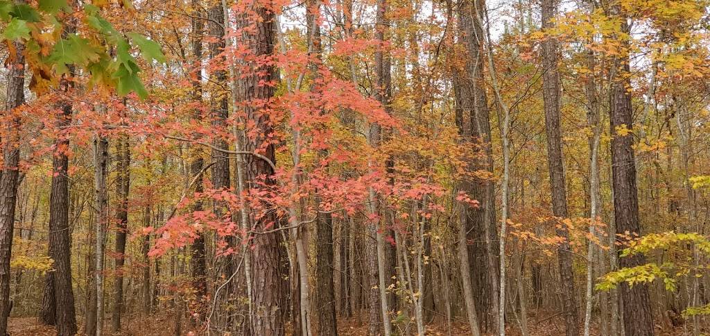 Wake Forest Reservoir Soft Trails | Wake Forest, NC 27587, USA | Phone: (919) 435-9400