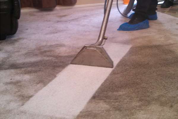 Team Clean Colorado - Residue-Free Carpet Steam Extraction | 3644 Downieville St, Loveland, CO 80538, USA | Phone: (970) 667-5050