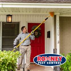 Romney Pest Control | 17170 Jordan Rd Suite 302, Selma, TX 78154, USA | Phone: (210) 446-5267