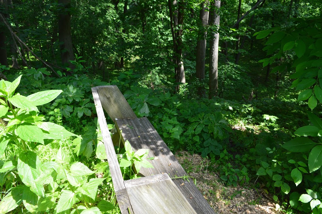 Petersen Island Woods Preserve - Kettle Moraine Land Trust | Oak Park Rd, Elkhorn, WI 53121 | Phone: (262) 949-7211