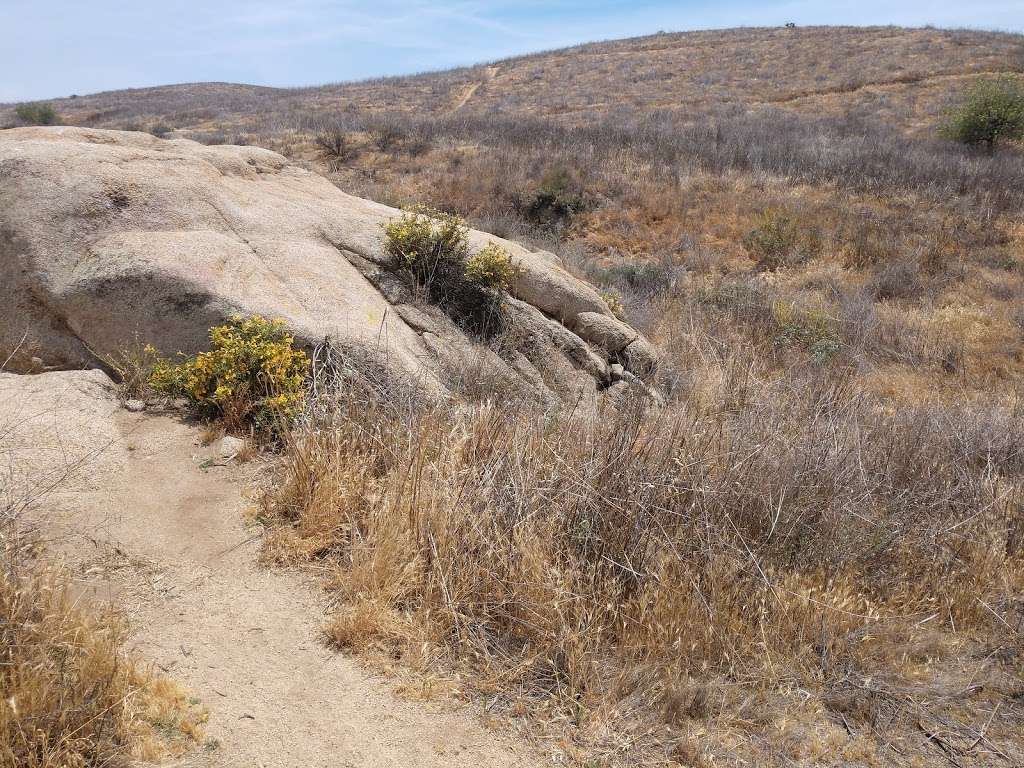 Sycamore Canyon Wilderness Park | 400 Central Ave, Riverside, CA 92507, USA | Phone: (951) 826-2596