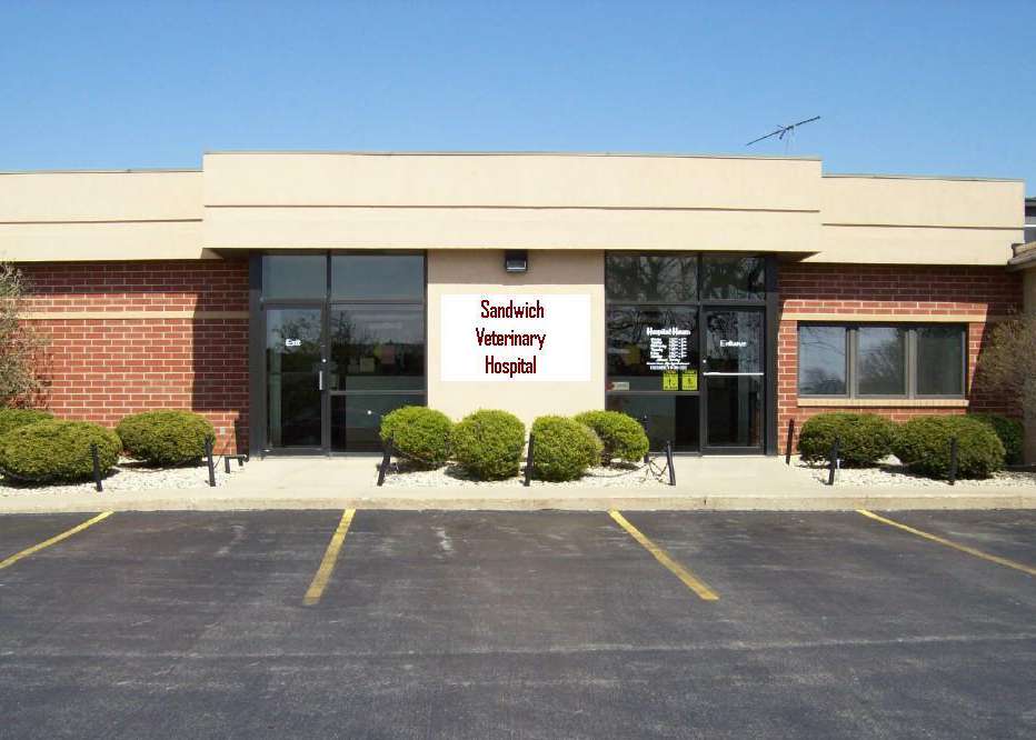 Sandwich Veterinary Hospital | 1214 E Church St, Sandwich, IL 60548, USA | Phone: (815) 786-2103