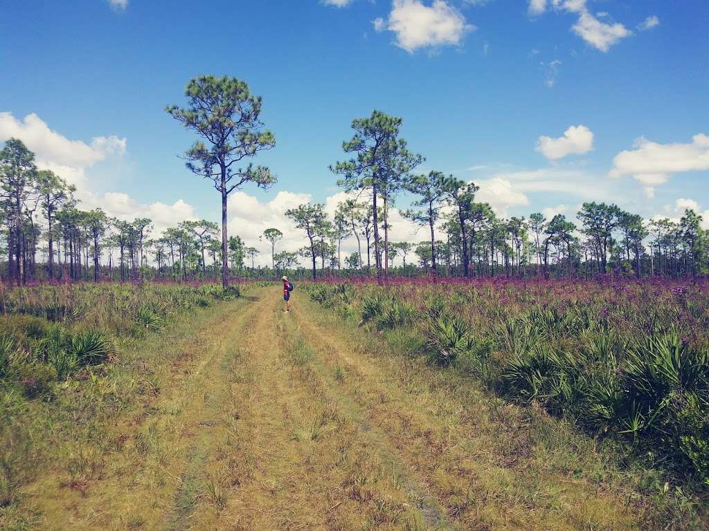 Shingle Creek Trailhead | 13400 Town Loop Blvd, Orlando, FL 32837, USA