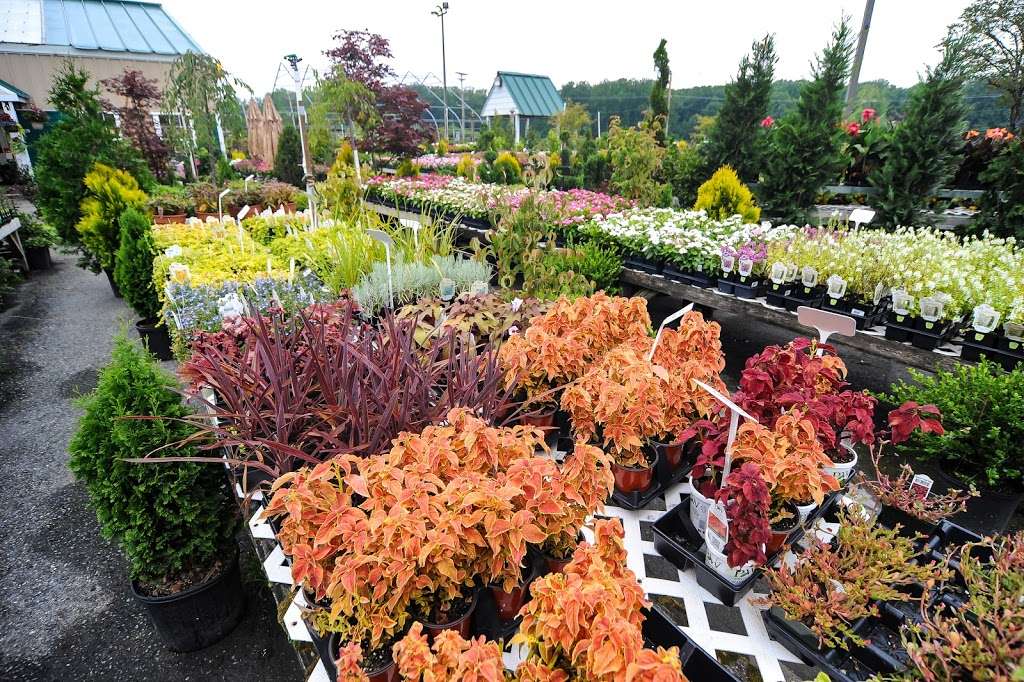 Franks Garden Center & Hawkins Signature Landscapes | 12205 Annapolis Rd, Bowie, MD 20720 | Phone: (301) 390-6274