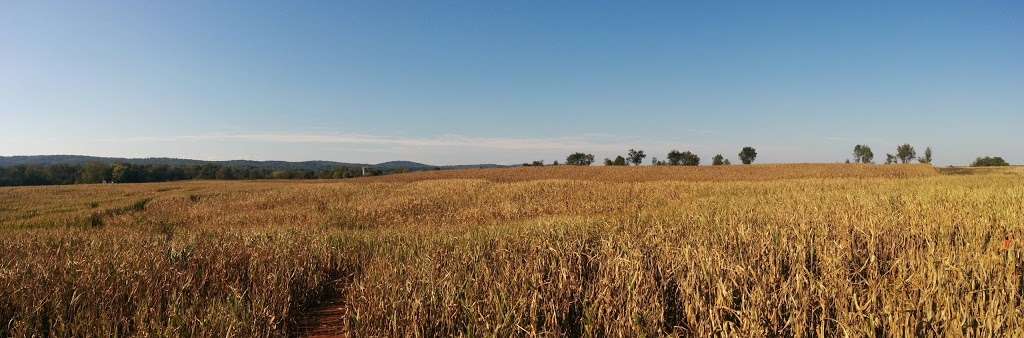 Temple Hall Fall Festival & Corn Maize | 15855 Limestone School Rd, Leesburg, VA 20176 | Phone: (703) 779-9372