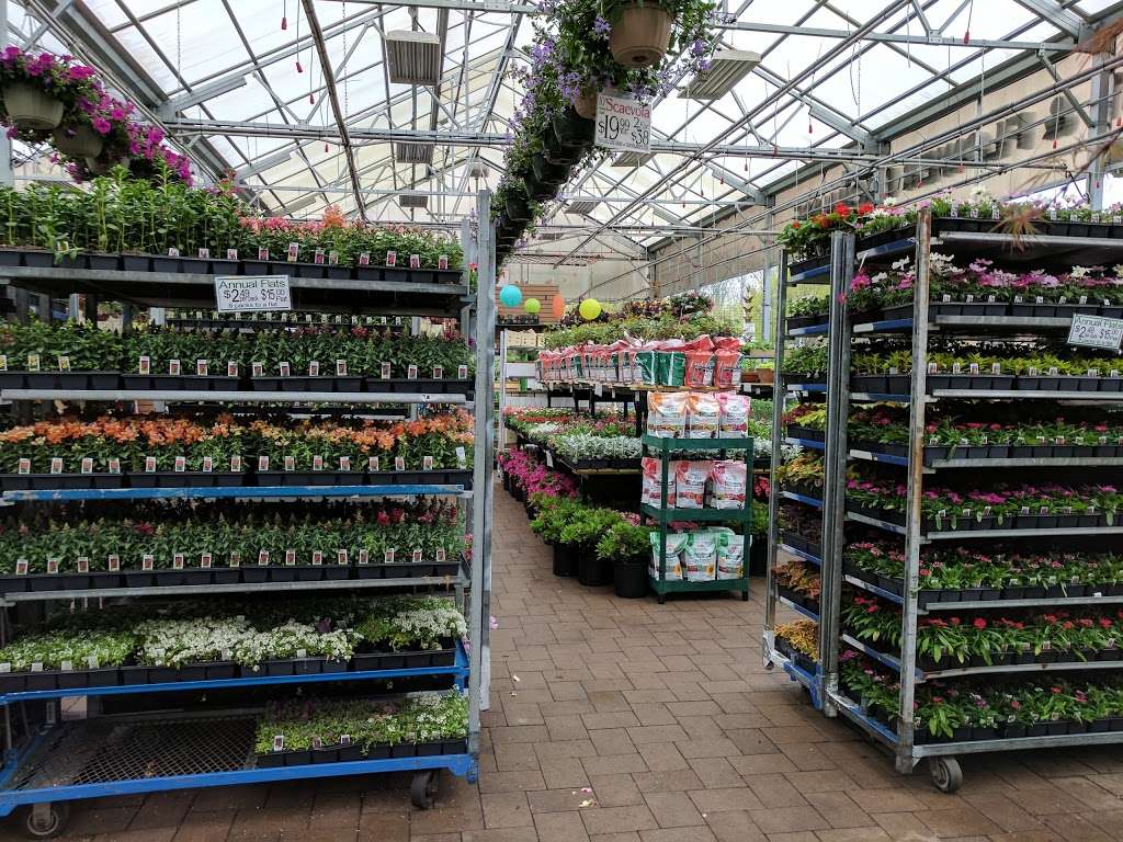 Metropolitan Plant and Flower Exchange | 471 NJ-10, West Orange, NJ 07052 | Phone: (973) 736-0049