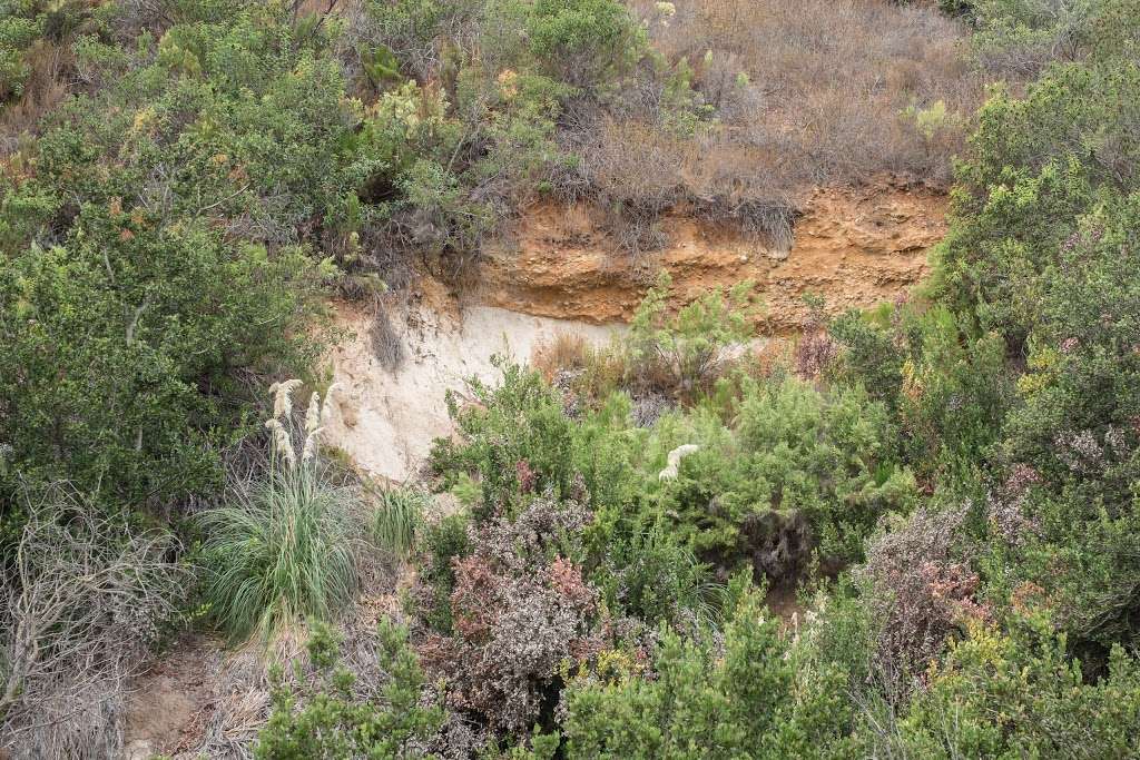 Navajo Canyon Open Space Park | San Diego, CA 92120, USA