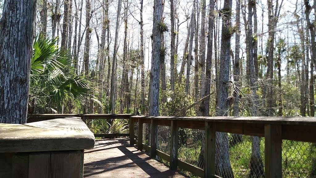 Dupuis Boardwalk & Observation Platform | Florida, USA