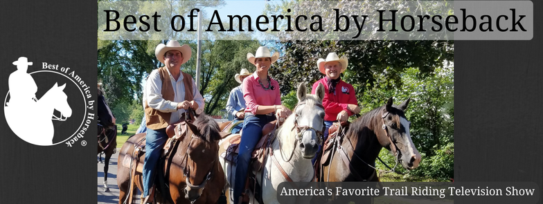 Best of America by Horseback | 17275 Germanna Hwy, Culpeper, VA 22701, USA | Phone: (540) 829-9555
