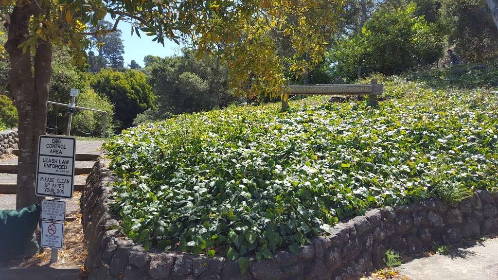 Langendorf Park | Sausalito, CA 94965