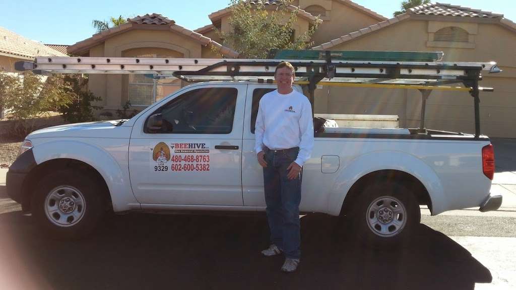 The Beehive Bee and Wasp removal | 543 E Jasper Dr, Chandler, AZ 85225, USA | Phone: (602) 600-5382