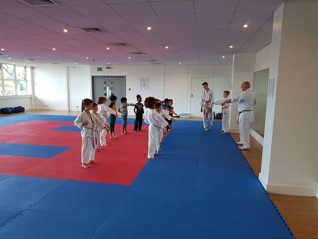 Docklands Shoujin Karate Club | East London gymnastics centre, 1 Triumph Rd, London E6 5LW, UK | Phone: 07864 869386