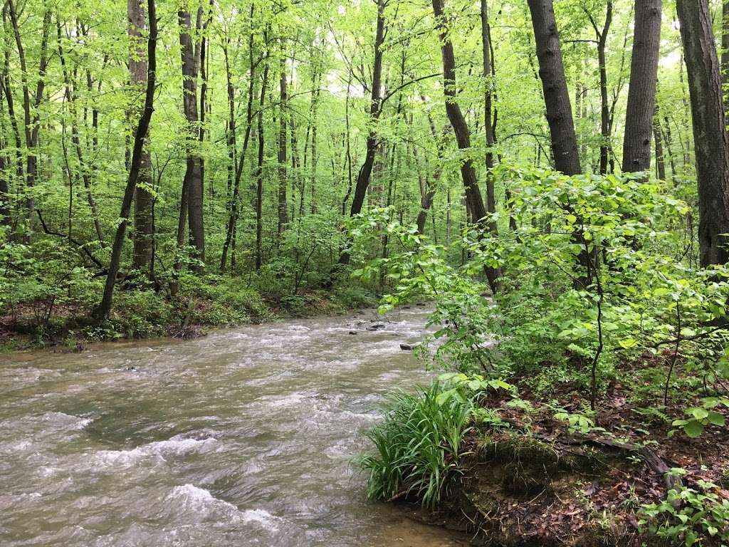 Fishing Creek Scalpy Hollow Nature Preserve | Scalpy Hollow Rd, Holtwood, PA 17532, USA | Phone: (717) 392-7891