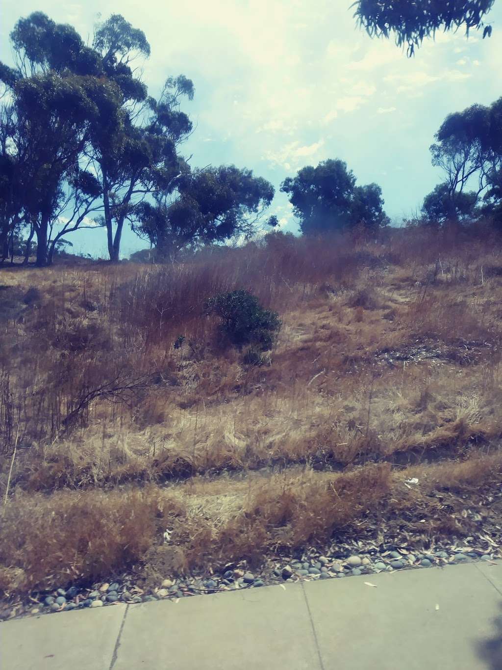 Scripps Coastal Meander Trailhead | Scripps Institution of Oceanography 9234-9218, La Jolla Shores Dr, La Jolla, CA 92037