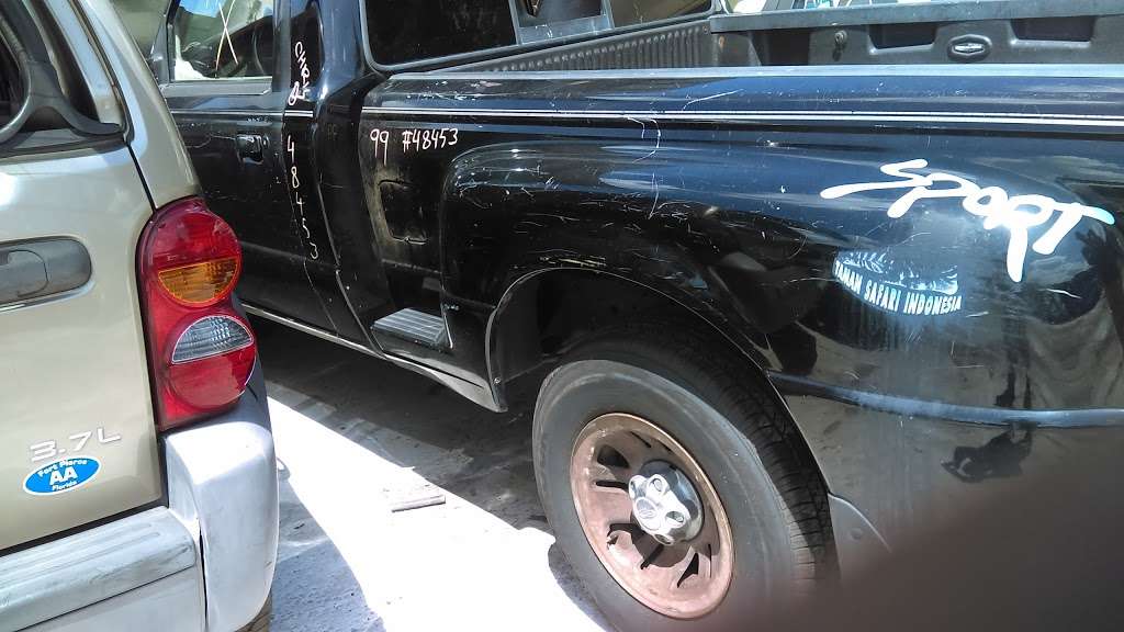 Incredible Car Collection Uncovered After 61 Years Fox 35 News Orlando Cars Trucks Junkyard Car Collection