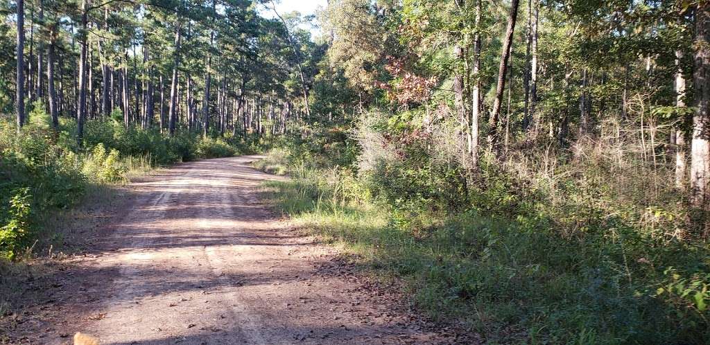 Hunters camp - Sam Houston National Forest | Cleveland, TX 77328