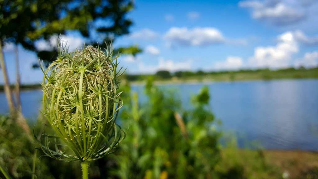 Foxglove Conservation Area | Hidden Valley Rd, Rayville, MO 64084, USA | Phone: (660) 646-6122