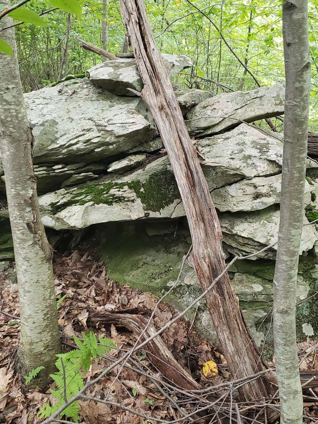 Black Rock - Mineral Springs Hiking trail | 2-16 Old Mineral Springs Rd, Highland Mills, NY 10930, USA