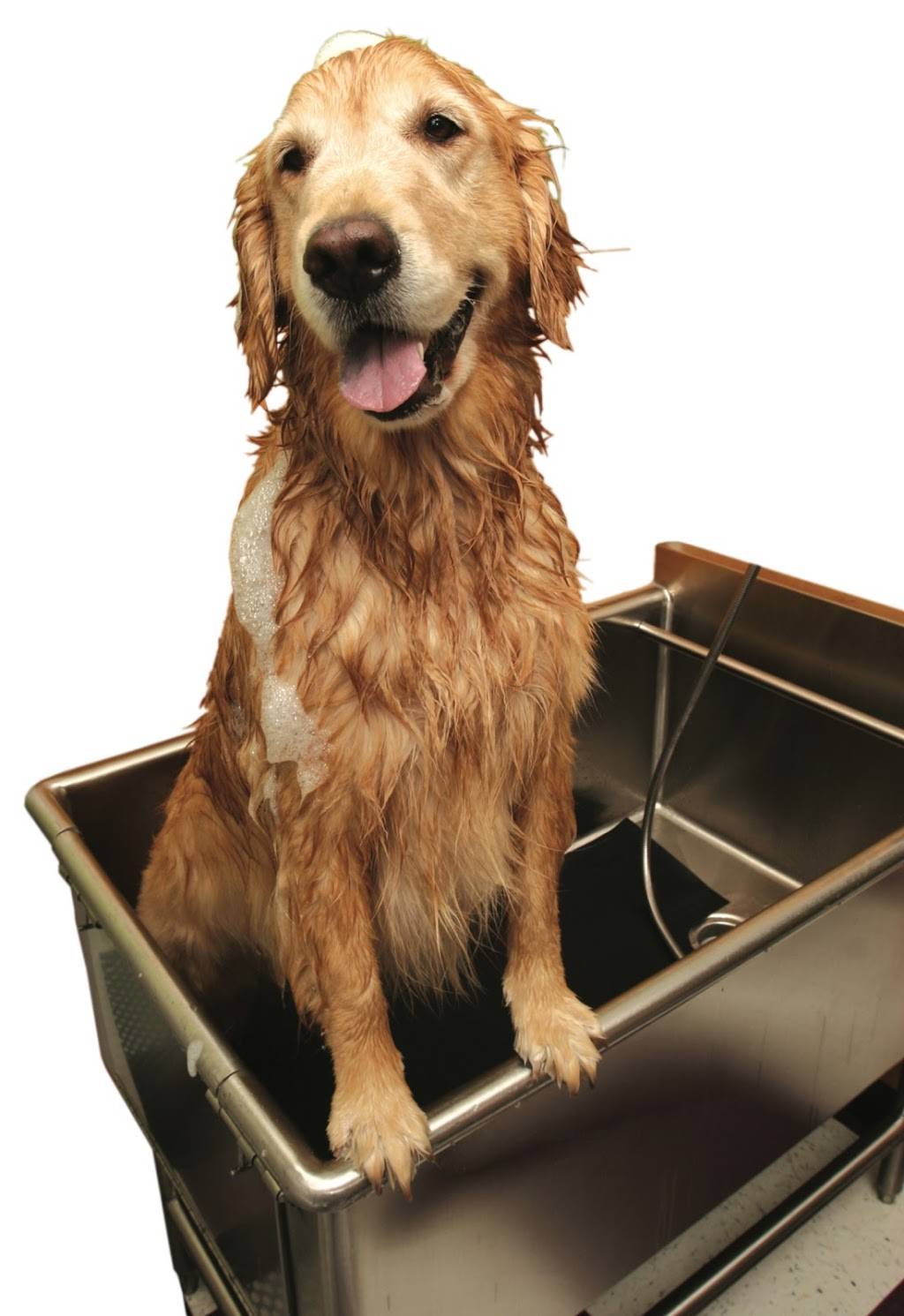 Wag N Wash Natural Pet Food & Grooming | 1960 Cliff Lake Rd # 120, Eagan, MN 55122, USA | Phone: (651) 454-9274