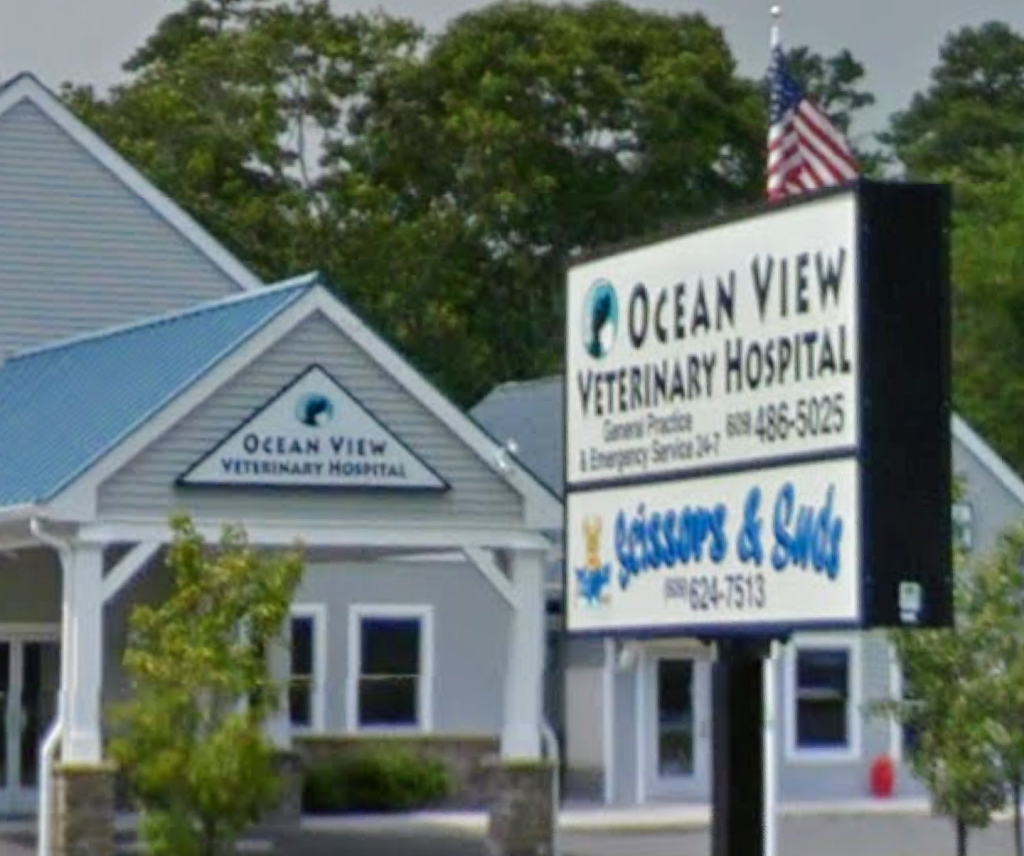 Ocean View Veterinary Hospital | 2033 U.S. 9, Cape May Court House, NJ 08210 | Phone: (609) 486-5025