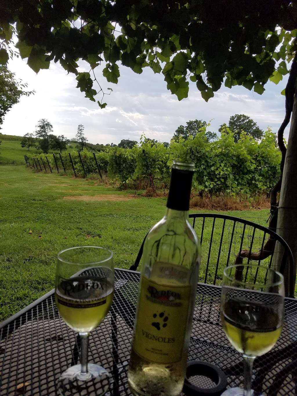 Red Fox Winery & Vineyards | 1422 NW 800 Rd, Urich, MO 64788, USA