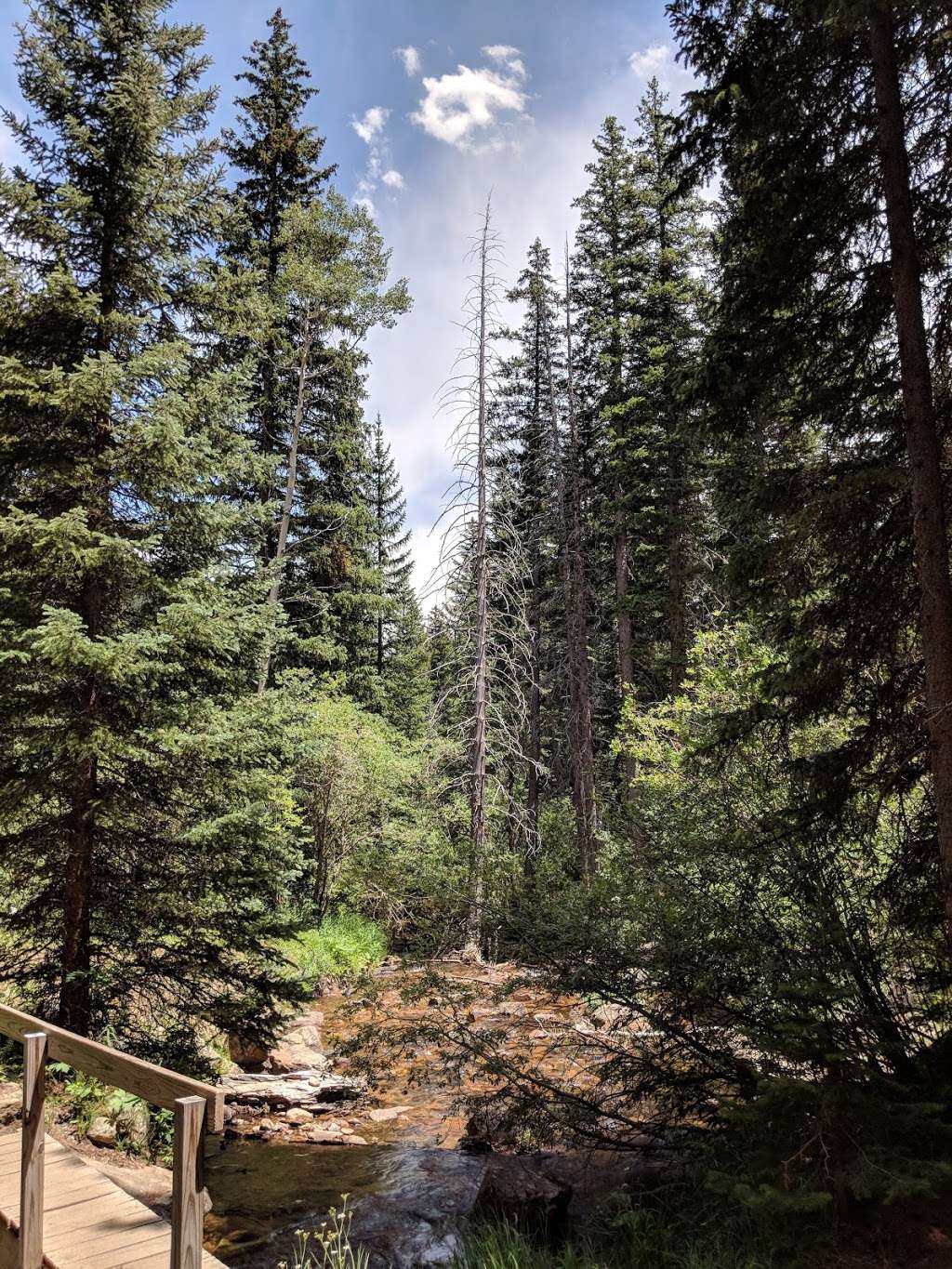 Tanglewood trails | 8704-8798 Deer Creek Rd, Bailey, CO 80421, USA