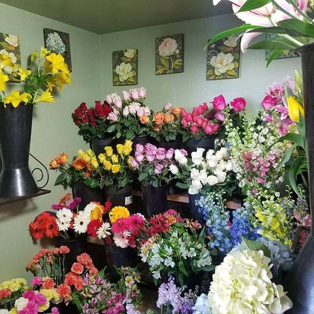 Mums the Word - A Florist | 1175 N Berkeley Ave, Fullerton, CA 92832 | Phone: (714) 525-0317