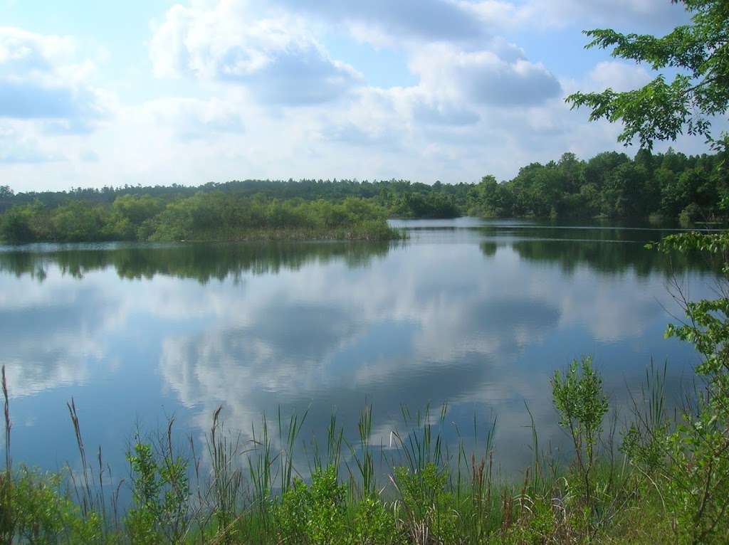 Hampton Tract/Green Swamp Wilderness Preserve | 14440 Rockridge Rd, Polk City, FL 33868 | Phone: (800) 423-1476